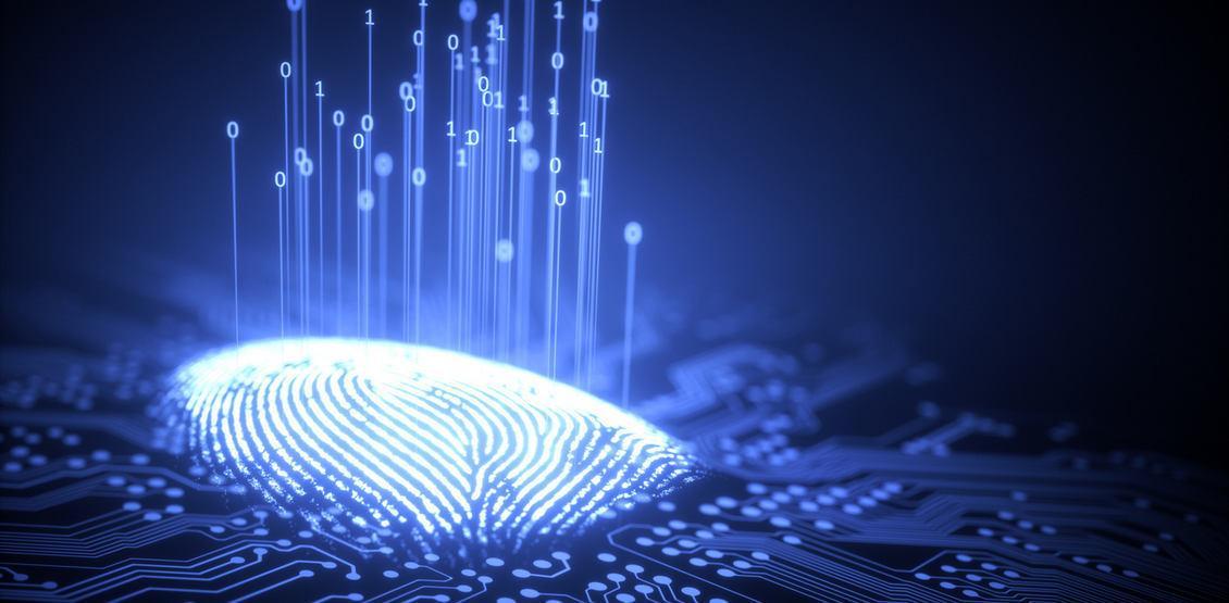 Preventing Online Fraud with Digital Fingerprinting