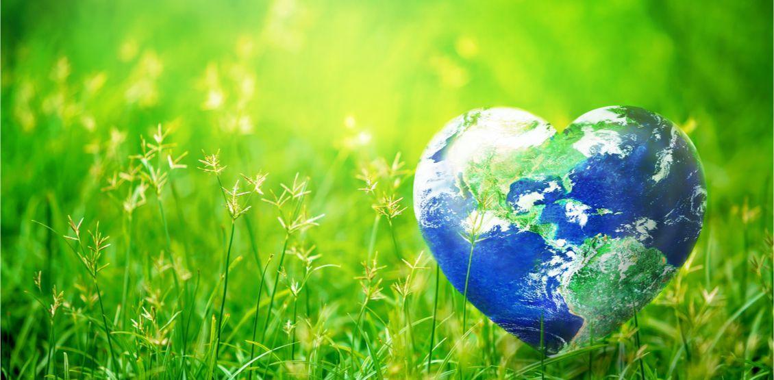 Reflections on Earth Day 2019