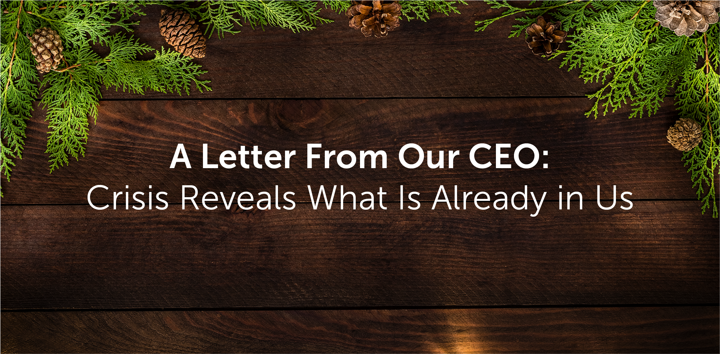 A Letter From Our CEO